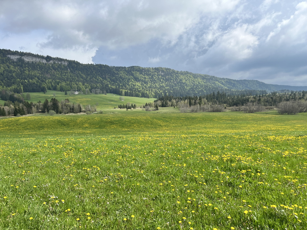 23-05-21 16-51-13 5532